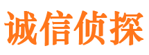 当雄找人公司